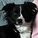 Penny was adopted in March, 2005